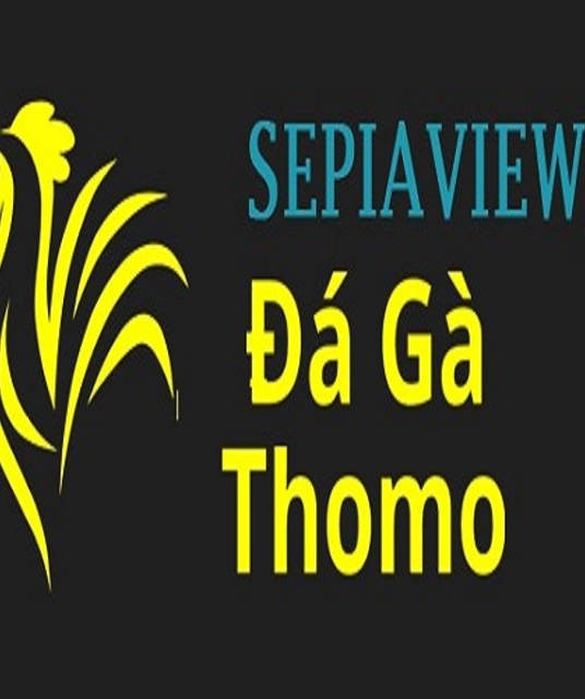 avatar Đá Gà Trực Tiếp Thomo