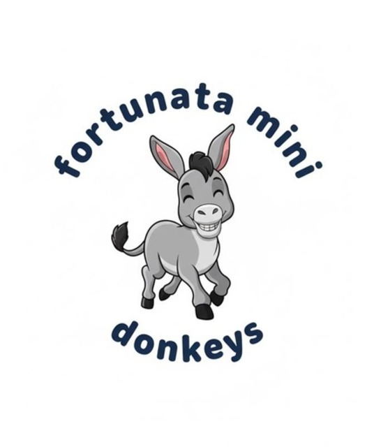 avatar Fortunata Mini Donkeys
