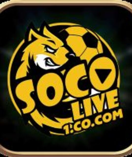 avatar socolive1cocom