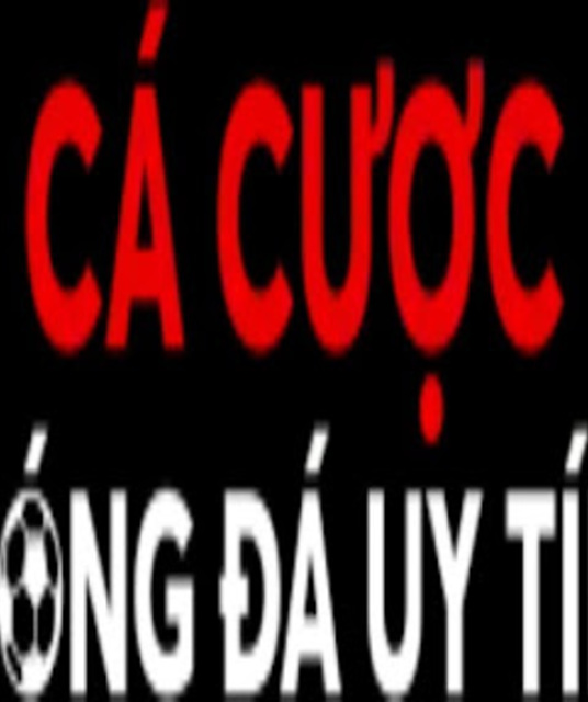 avatar Cá Cược Bóng Đá